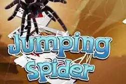 Solitario Spider Jumping